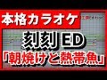 【歌詞付カラオケ】朝焼けと熱帯魚【刻刻ED】(ぼくのりりっくのぼうよみ)【野田工房cover】