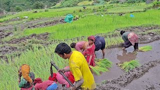 himalayan papular nepali village and nepal organic lifestyle 