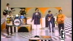 The Turtles - Happy Together - 1967  - Durasi: 2:48. 
