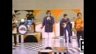 The Turtles - Happy Together - 1967