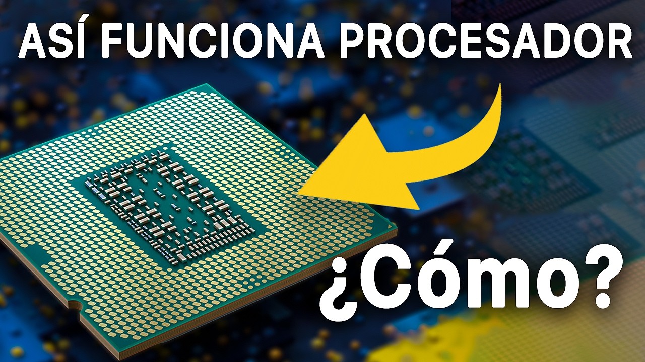 Cómo Funcionan los Procesadores? Hasta un Niño lo Entiende
