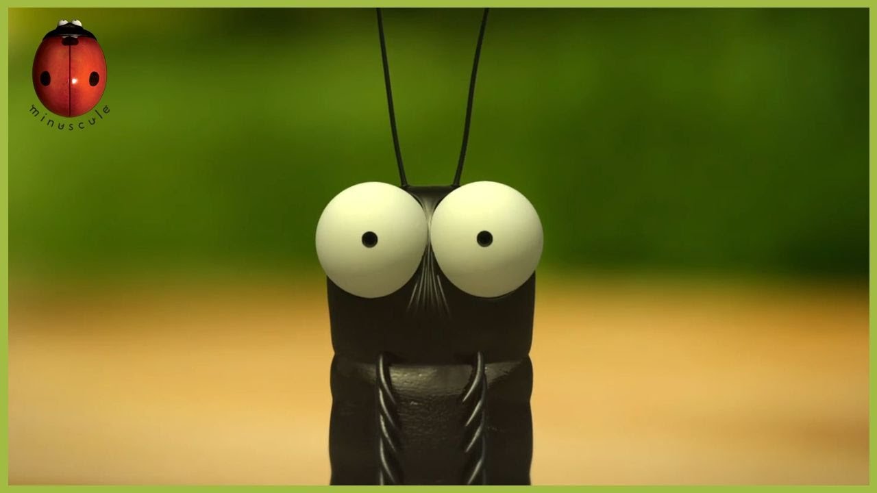 Mission : BBQ 🎃 Minuscule 🍃 65' Compilation