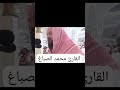 تلاوة قرآنية تهدئ القلوب القارئ محمد عبدالحليم الصباغ اكسبلور محمد عبدالحليم الصباغ 