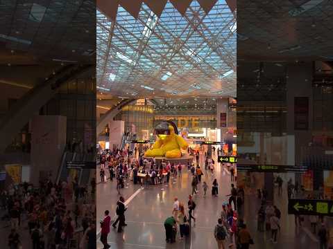Hamad International Airport - Doha, Qatar 🇶🇦 #hamadairport #dohaairport #qatar