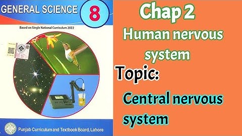 8th Class Science Chapter 2 - Central Nervous system - Class 8 General Science New Book Chapter 2