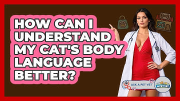 How Can I Understand My Cat