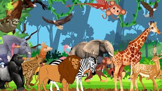 ABC Safari Animals Sounds Song | Learn A-Z Animal Sounds | Kids Smart Learning 15TH1025