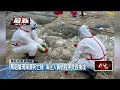 台中非洲豬瘟疫爆發