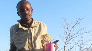 Faarax Iyo Libaax Maxaa Kala Qabsaday? Sheeko Xiisa Badan Video