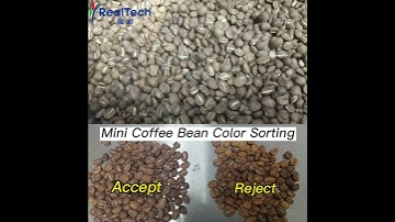 S32 Coffee Bean Color Sorter