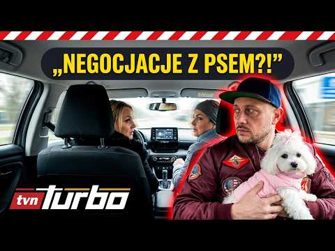 A difficult task for a trader... HE HAD TO NEGOTIATE, TALK ABOUT, AND PETS THE DOG! | Professiona...