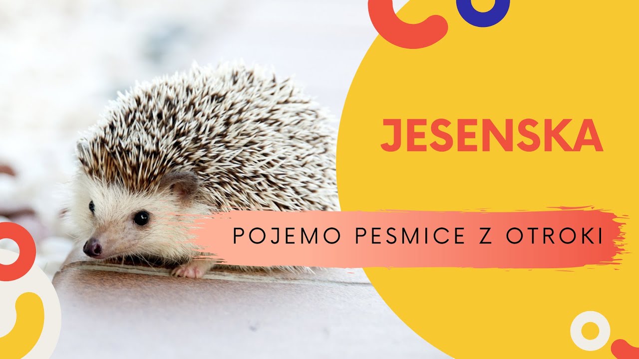 Jesenska Otro ka Pesmica Anja tefan Z Besedilom YouTube Jesenska Otro ka Pesmica Anja tefan Z Besedilom YouTube