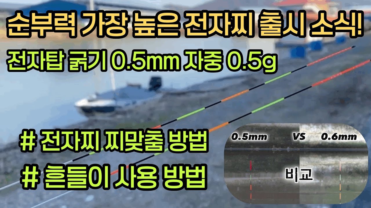 농촌지 하우스 겨울 낚시 꿀팁!! 전자찌 찌맞춤 방법 흔들이 사용 방법 총정리   #흔들이 #전자찌 #찌맞춤 #낚시 #fishing 