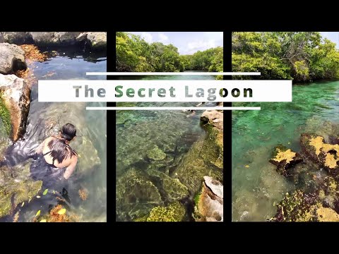 Grand Sirenis Riviera Maya Mexico | The Secret Lagoon | Best Snorkeling | Part 3