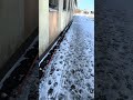Директор Кучерявых Дел♥️🤩ЖОРА ВАРТАНОВ