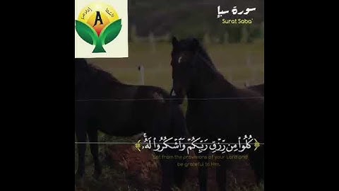 مقطع من سورة سبأ