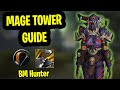 BM Hunter Mage Tower Guide | DPS Mage Tower Guide Dragonflight | Feltotem's Fall