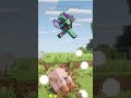 macing sheep