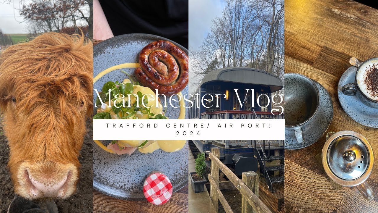 LAKE DISTRICT VLOG: Highland Cows + Garden Centre + Lunch on a train + Present wrapping