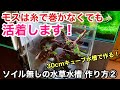 ソイルを使わずに３０cmキューブ水草水槽を作る方法②「モス活着編」ADAネイチャーアクアリウム小型水槽立ち上げ初心者、化粧砂、活着水草、ウォーターフェザー、プレミアムモス、ウィローモス、流木レイアウト