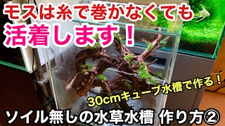 ソイルを使わずに３０cmキューブ水草水槽を作る方法②「モス活着編」ADAネイチャーアクアリウム小型水槽立ち上げ初心者、化粧砂、活着水草、ウォーターフェザー、プレミアムモス、ウィローモス、流木レイアウト