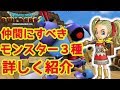 【ドラクエビルダーズ２】絶対仲間にすべきモンスター三種！場所や能力も紹介【DL版でプレイ/PS4/ネタバレ注意】