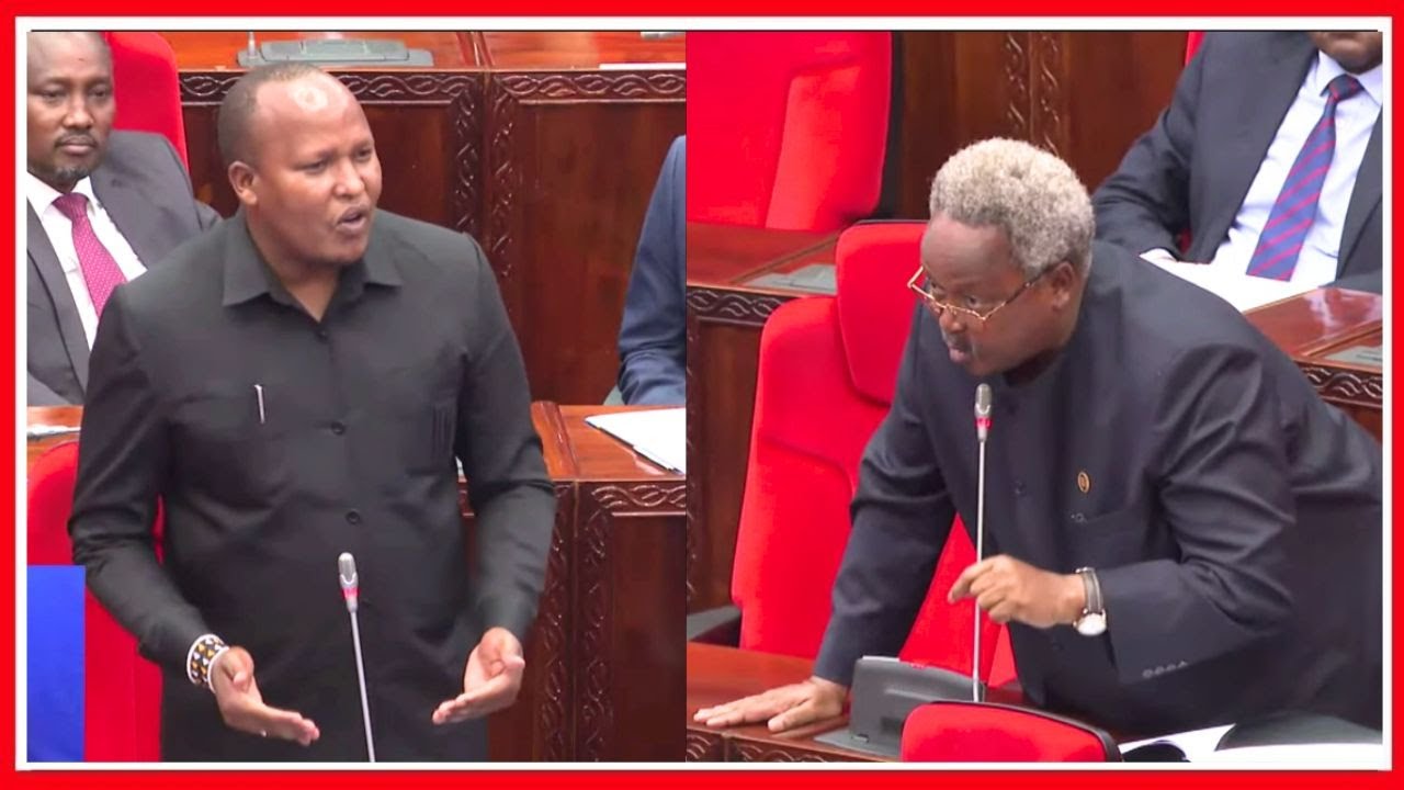 ''BORA TUFE POLEPOLE KULIKO KUFA WAKATI MMOJA'' - OLESENDEKA na OLE SHANGAY KUHUSU NGORONGORO...