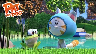 Pat The Dog Ep78 - Frog & Kitty Full Episode - Season 2