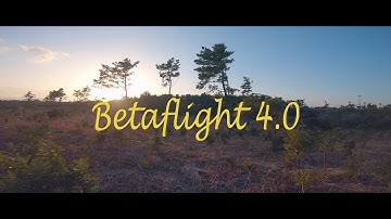 Betaflight 4.0 | FPV Drone FREESTYLE | GoPro