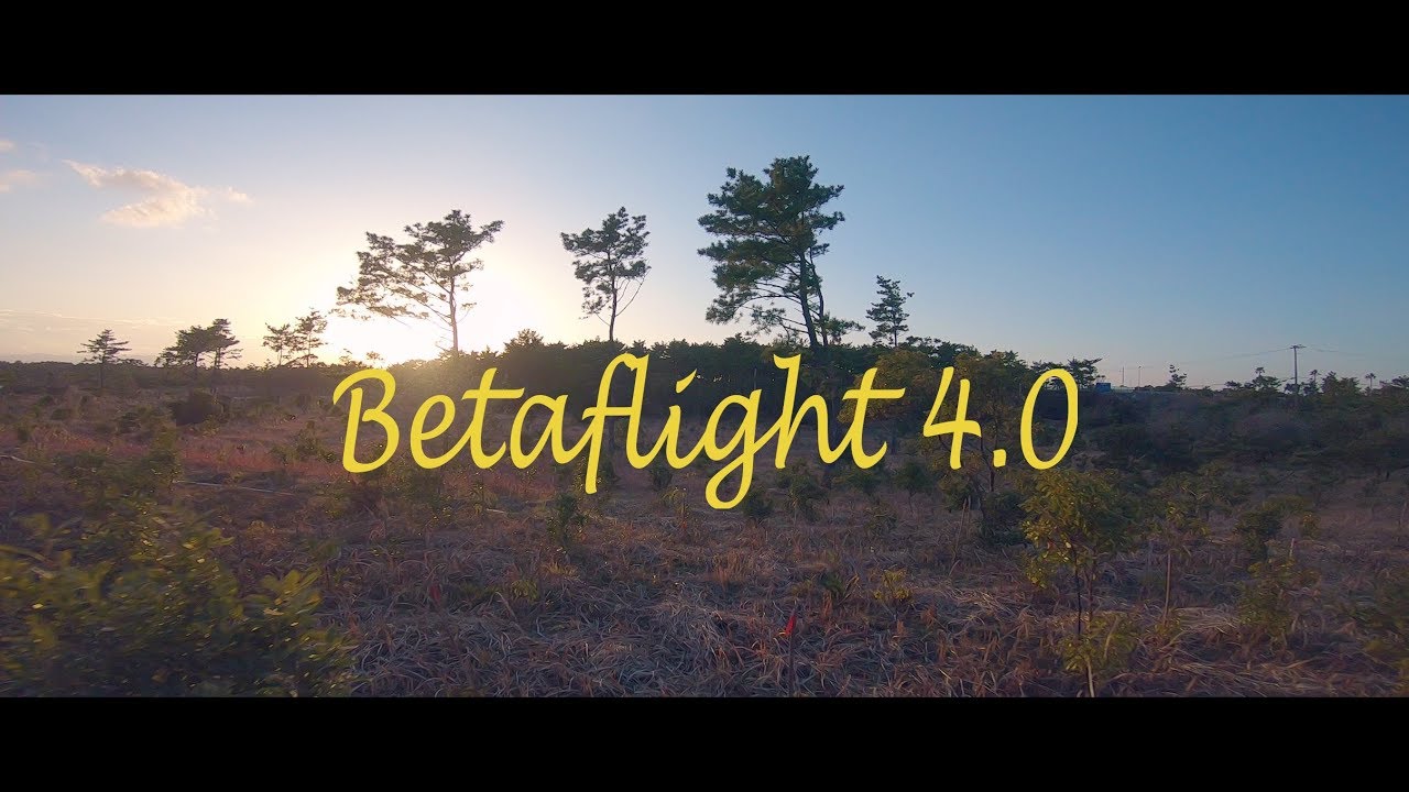 Betaflight 4.0 | FPV Drone FREESTYLE | GoPro