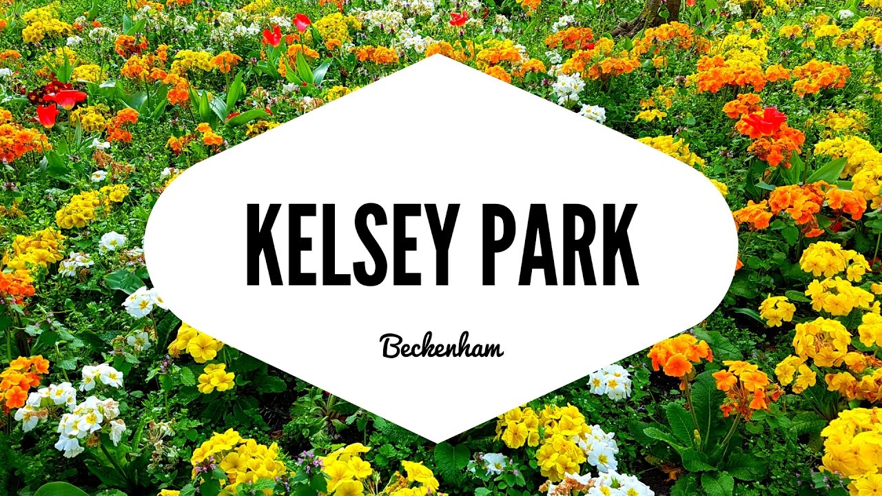 THE BEAUTIFUL KELSEY PARK IN BECKENHAM, LONDON (UK) YouTube
