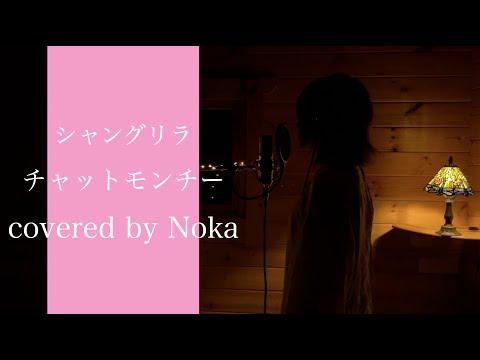 シャングリラ/チャットモンチー covered by Noka