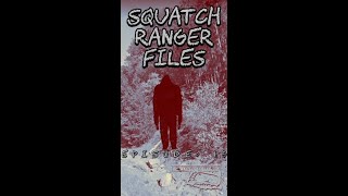 SR Files EP 45
In this episode, I give my review of the new Finding Bigfoot: The Search Continues 2 hour special. I also discuss what bigfoot researches could add to their investigative tools to help please some skeptics when interviewing an eyewitness. Plus, we hear an old report from Oklahoma and a brand new report from England that happened February of 2021.
Bigfoot Suit ID Link:
https://www.youtube.com/watch?v=q9xQTPhlB_k&t=5s
https://sites.google.com/site/thesquatchranger/home/st SR Files EP 45