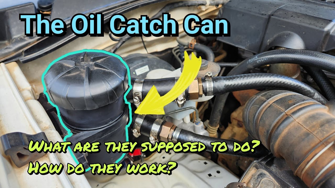 Catch Cans - What Are They All About? Everything You Need to Know ...