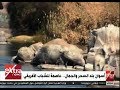 غرفة الأخبار أسوان بلد السحر والجمال عاصمة للشباب الإفريقي 