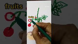 Parts of a Plant Drawing 🌱 | Science Project Easy Drawing #shorts