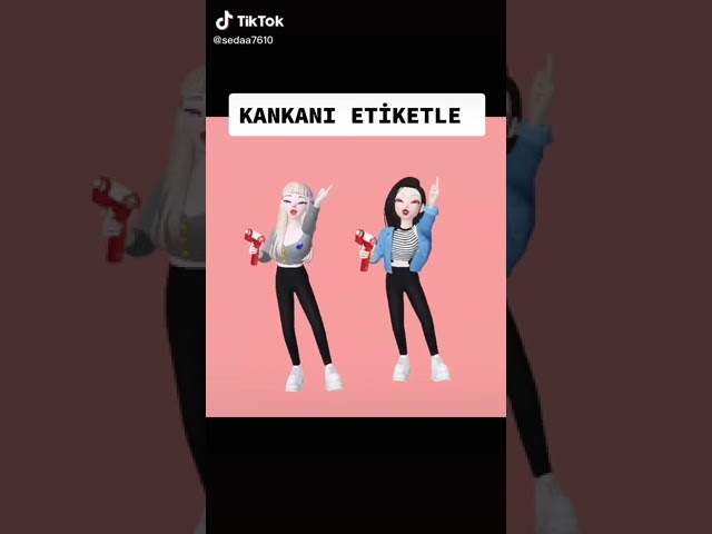preview_player