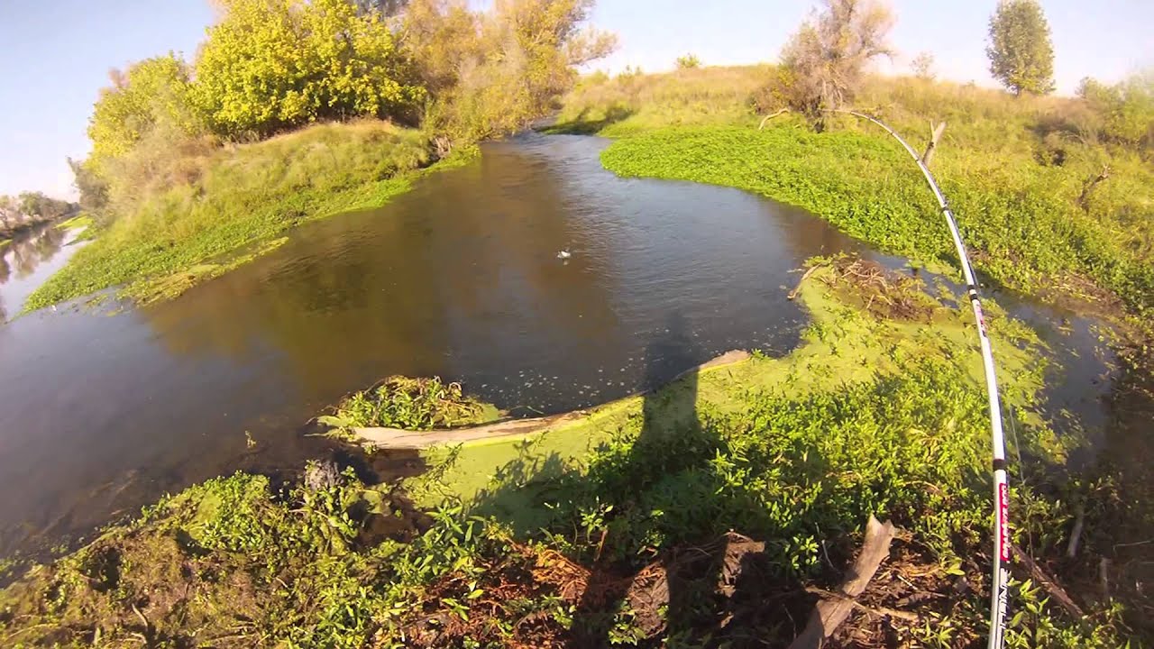 best spots for bass fishing near me best spots for bass fishing near me