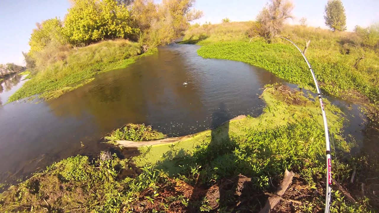 Bass Fishing In SECRET SPOT!!! (Sacramento California ...