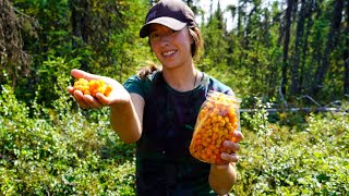 Sweet \& Sour Cloudberry Harvest | Canning Cauliflower from the Garden