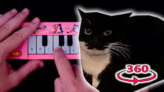 Maxwell The Cat / how to play on a 1$ piano but it's 360 degree