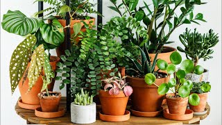 Repotting time!