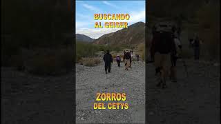 #SHORTS ZORROS DEL CETYS... Caminata al Geiser