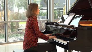 Michael Dubovik  - Отзвуки Листа - Echoes of Liszt (piano solo version)