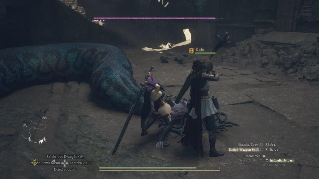 Finally got a Preserved Medusa head