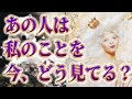 【どんな印象持たれてる?】【相手の気持ち】片思い複雑恋愛タロットカードリーディング🦋個人鑑定級占い🔮
