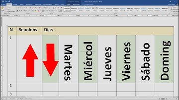 Como poner un texto en forma vertical en una tabla Word