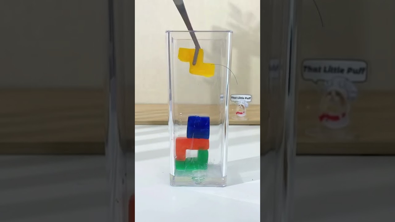 Cat making food cooking home made 36