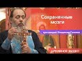 Сохраненные мозги (прот. Владимир Головин, г .Болгар)