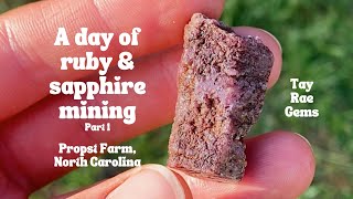 A day of ruby & sapphire mining at Propst Farm, North Carolina | part 1